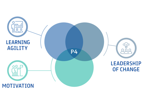 p4 logo
